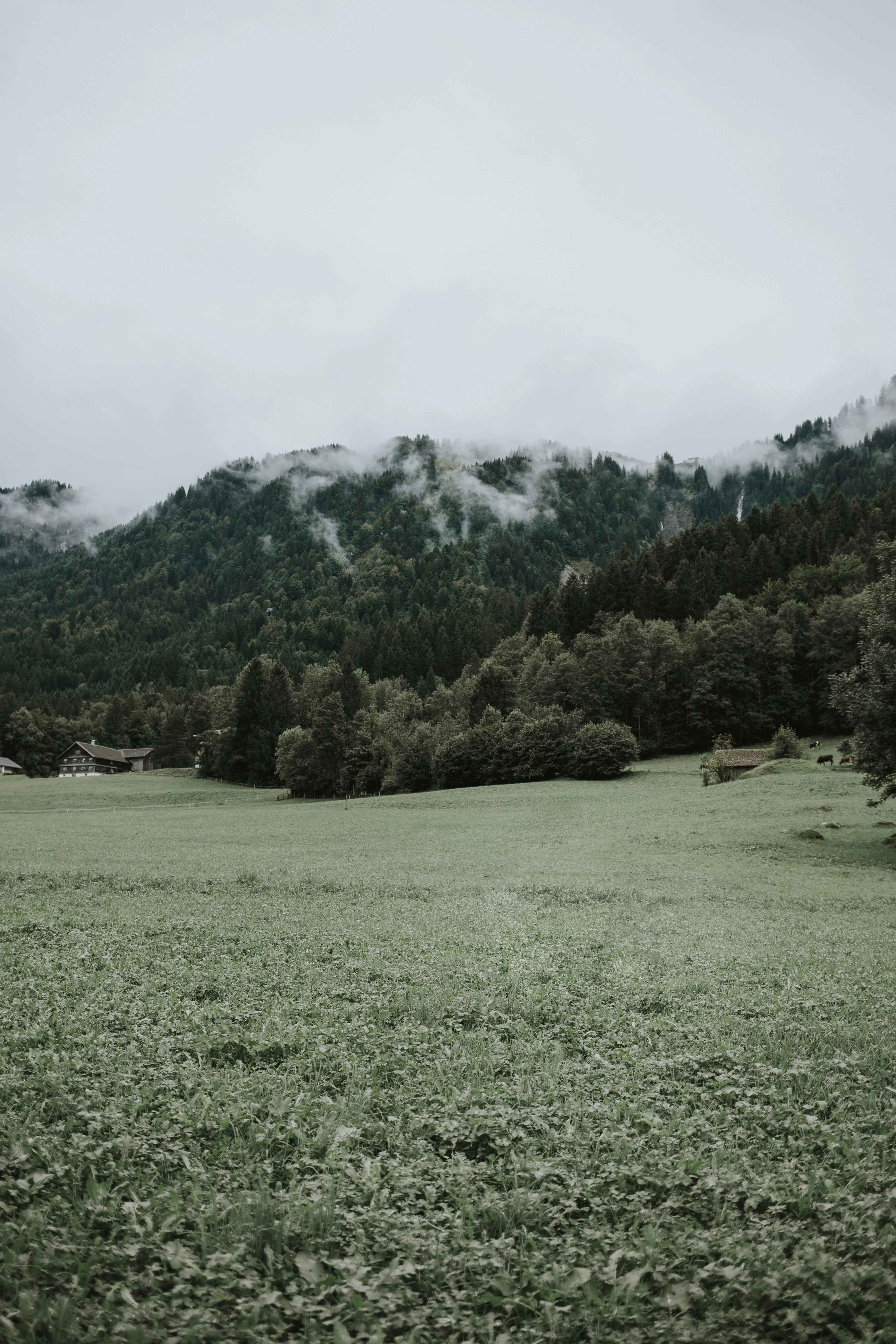 Austria vorarlberg mellau